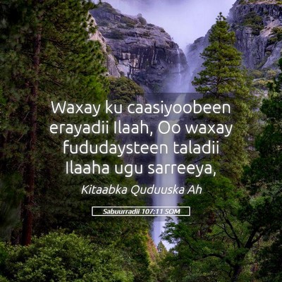 Picture 05 - Sabuurradii 107:11 SOM - Waxay ku caasiyoobeen erayadii Ilaah, Oo waxay - Bible Verse Picture