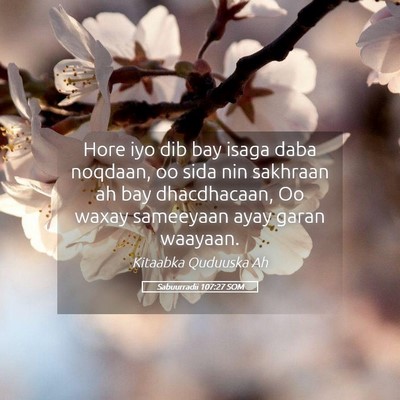 Picture 05 - Sabuurradii 107:27 SOM - Hore iyo dib bay isaga daba noqdaan, oo sida nin - Bible Verse Picture