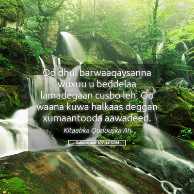 Picture 05 - Sabuurradii 107:34 SOM - Oo dhul barwaaqaysanna wuxuu u beddelaa - Bible Verse Picture