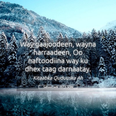Picture 05 - Sabuurradii 107:5 SOM - Way gaajoodeen, wayna harraadeen, Oo naftoodiina - Bible Verse Picture