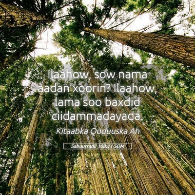Picture 05 - Sabuurradii 108:11 SOM - Ilaahow, sow nama aadan xoorin? Ilaahow, lama soo - Bible Verse Picture