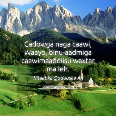 Picture 05 - Sabuurradii 108:12 SOM - Cadowga naga caawi, Waayo, binu-aadmiga - Bible Verse Picture