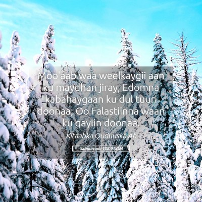 Picture 05 - Sabuurradii 108:9 SOM - Moo'aab waa weelkaygii aan ku maydhan jiray, - Bible Verse Picture