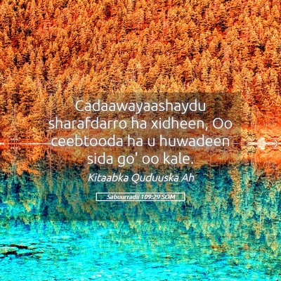 Picture 05 - Sabuurradii 109:29 SOM - Cadaawayaashaydu sharafdarro ha xidheen, Oo - Bible Verse Picture