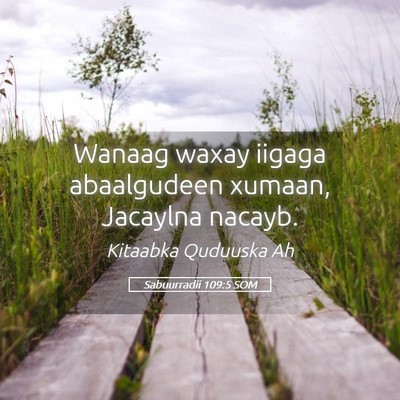 Picture 05 - Sabuurradii 109:5 SOM - Wanaag waxay iigaga abaalgudeen xumaan, Jacaylna - Bible Verse Picture