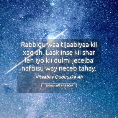 Picture 05 - Sabuurradii 11:5 SOM - Rabbigu waa tijaabiyaa kii xaq ah, Laakiinse kii - Bible Verse Picture