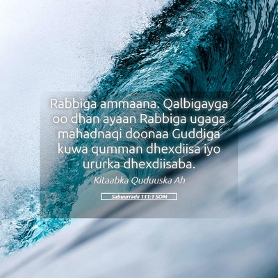 Picture 05 - Sabuurradii 111:1 SOM - Rabbiga ammaana. Qalbigayga oo dhan ayaan Rabbiga - Bible Verse Picture