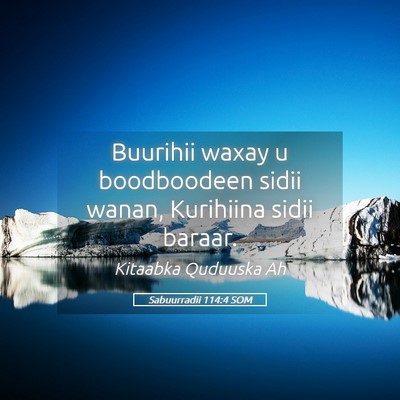 Picture 05 - Sabuurradii 114:4 SOM - Buurihii waxay u boodboodeen sidii wanan, - Bible Verse Picture