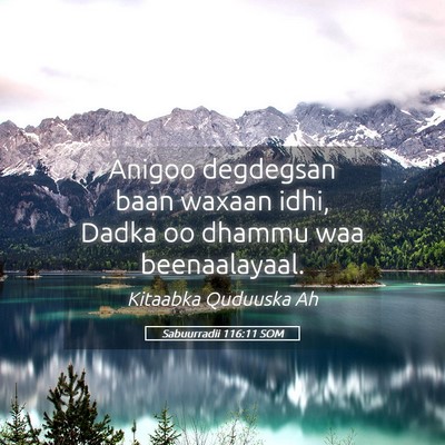 Picture 05 - Sabuurradii 116:11 SOM - Anigoo degdegsan baan waxaan idhi, Dadka oo - Bible Verse Picture