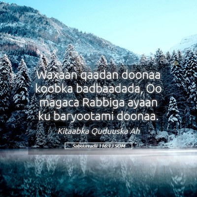 Picture 05 - Sabuurradii 116:13 SOM - Waxaan qaadan doonaa koobka badbaadada, Oo magaca - Bible Verse Picture