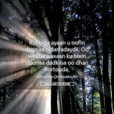 Picture 05 - Sabuurradii 116:18 SOM - Rabbiga ayaan u oofin doonaa nidarradaydii, Oo - Bible Verse Picture