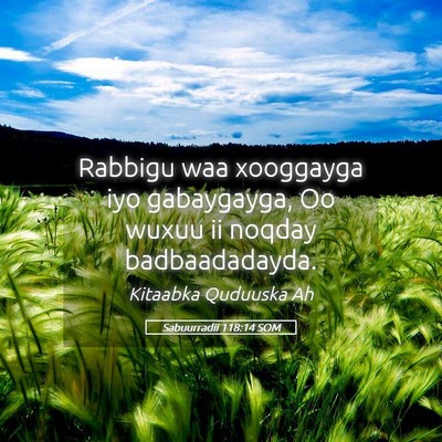 Picture 05 - Sabuurradii 118:14 SOM - Rabbigu waa xooggayga iyo gabaygayga, Oo wuxuu ii - Bible Verse Picture