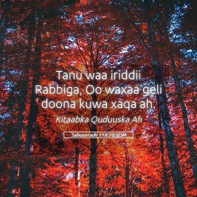 Picture 05 - Sabuurradii 118:20 SOM - Tanu waa iriddii Rabbiga, Oo waxaa geli doona - Bible Verse Picture
