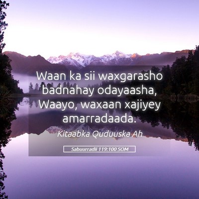 Picture 05 - Sabuurradii 119:100 SOM - Waan ka sii waxgarasho badnahay odayaasha, Waayo, - Bible Verse Picture