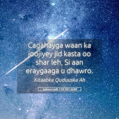Picture 05 - Sabuurradii 119:101 SOM - Cagahayga waan ka joojiyey jid kasta oo shar leh, - Bible Verse Picture