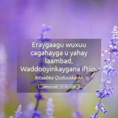 Picture 05 - Sabuurradii 119:105 SOM - Eraygaagu wuxuu cagahayga u yahay laambad, - Bible Verse Picture
