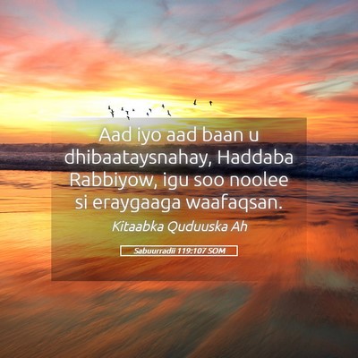 Picture 05 - Sabuurradii 119:107 SOM - Aad iyo aad baan u dhibaataysnahay, Haddaba - Bible Verse Picture