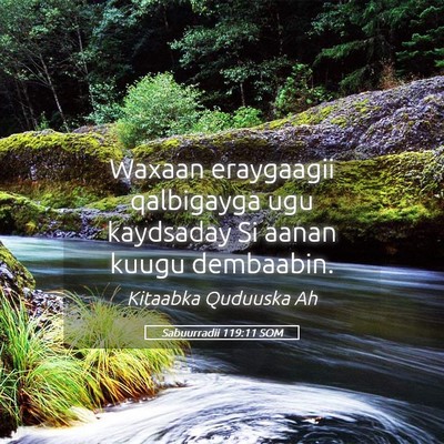 Picture 05 - Sabuurradii 119:11 SOM - Waxaan eraygaagii qalbigayga ugu kaydsaday Si - Bible Verse Picture