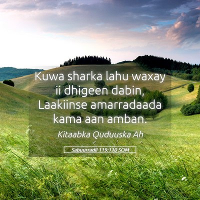 Picture 05 - Sabuurradii 119:110 SOM - Kuwa sharka lahu waxay ii dhigeen dabin, - Bible Verse Picture