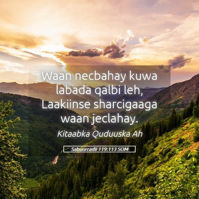 Picture 05 - Sabuurradii 119:113 SOM - Waan necbahay kuwa labada qalbi leh, Laakiinse - Bible Verse Picture