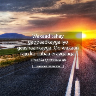 Picture 05 - Sabuurradii 119:114 SOM - Waxaad tahay gabbaadkayga iyo gaashaankayga, Oo - Bible Verse Picture
