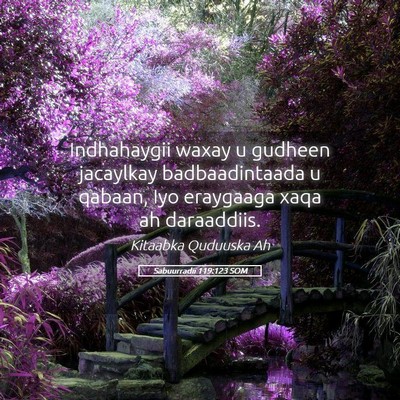 Picture 05 - Sabuurradii 119:123 SOM - Indhahaygii waxay u gudheen jacaylkay - Bible Verse Picture