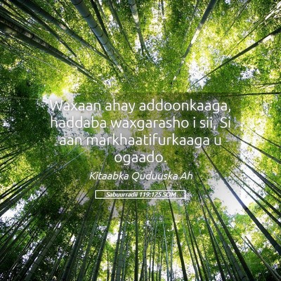 Picture 05 - Sabuurradii 119:125 SOM - Waxaan ahay addoonkaaga, haddaba waxgarasho i - Bible Verse Picture
