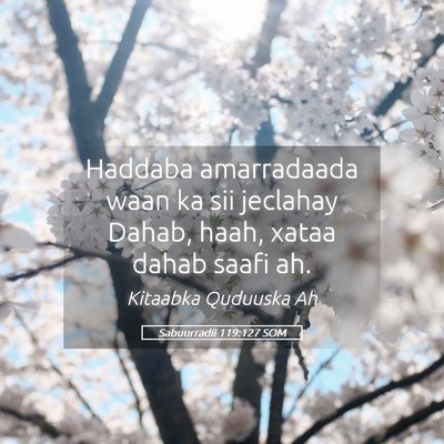 Picture 05 - Sabuurradii 119:127 SOM - Haddaba amarradaada waan ka sii jeclahay Dahab, - Bible Verse Picture