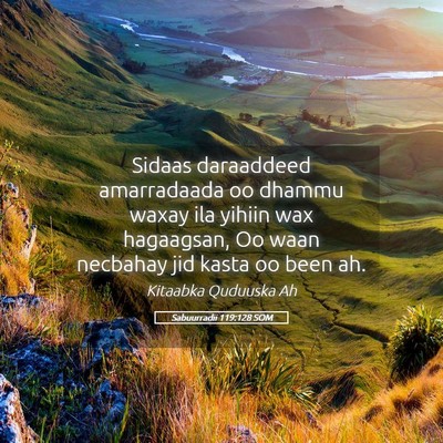 Picture 05 - Sabuurradii 119:128 SOM - Sidaas daraaddeed amarradaada oo dhammu waxay ila - Bible Verse Picture