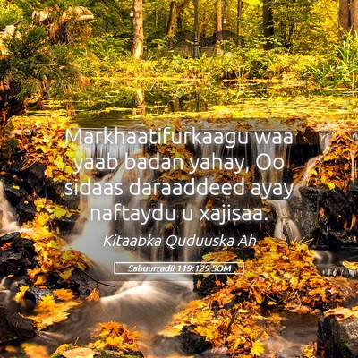 Picture 05 - Sabuurradii 119:129 SOM - Markhaatifurkaagu waa yaab badan yahay, Oo sidaas - Bible Verse Picture