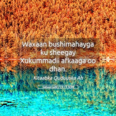 Picture 05 - Sabuurradii 119:13 SOM - Waxaan bushimahayga ku sheegay Xukummadii afkaaga - Bible Verse Picture
