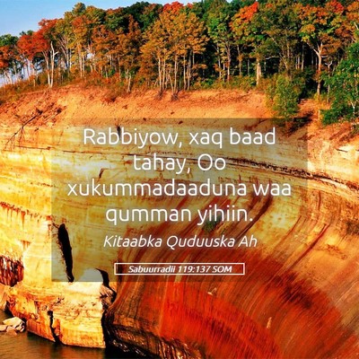 Picture 05 - Sabuurradii 119:137 SOM - Rabbiyow, xaq baad tahay, Oo xukummadaaduna waa - Bible Verse Picture