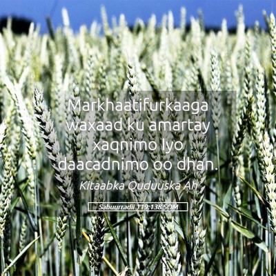 Picture 05 - Sabuurradii 119:138 SOM - Markhaatifurkaaga waxaad ku amartay xaqnimo Iyo - Bible Verse Picture