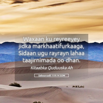 Picture 05 - Sabuurradii 119:14 SOM - Waxaan ku reyreeyey jidka markhaatifurkaaga, - Bible Verse Picture