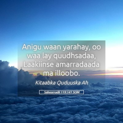 Picture 05 - Sabuurradii 119:141 SOM - Anigu waan yarahay, oo waa lay quudhsadaa, - Bible Verse Picture