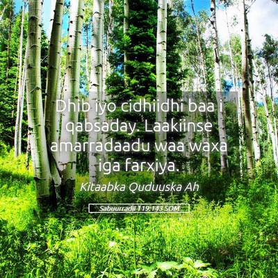 Picture 05 - Sabuurradii 119:143 SOM - Dhib iyo cidhiidhi baa i qabsaday. Laakiinse - Bible Verse Picture