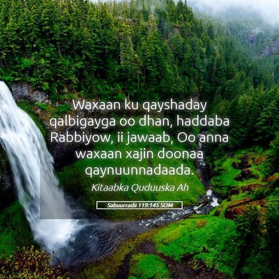 Picture 05 - Sabuurradii 119:145 SOM - Waxaan ku qayshaday qalbigayga oo dhan, haddaba - Bible Verse Picture