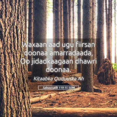 Picture 05 - Sabuurradii 119:15 SOM - Waxaan aad ugu fiirsan doonaa amarradaada, Oo - Bible Verse Picture