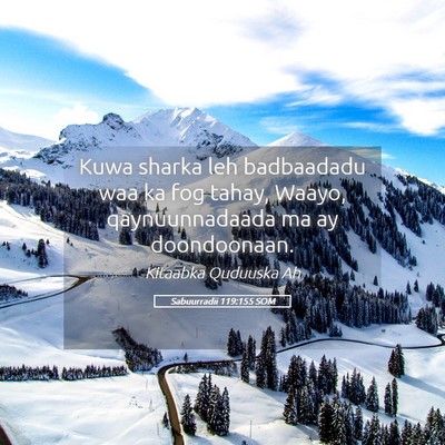 Picture 05 - Sabuurradii 119:155 SOM - Kuwa sharka leh badbaadadu waa ka fog tahay, - Bible Verse Picture