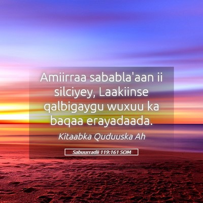 Picture 05 - Sabuurradii 119:161 SOM - Amiirraa sababla'aan ii silciyey, Laakiinse - Bible Verse Picture