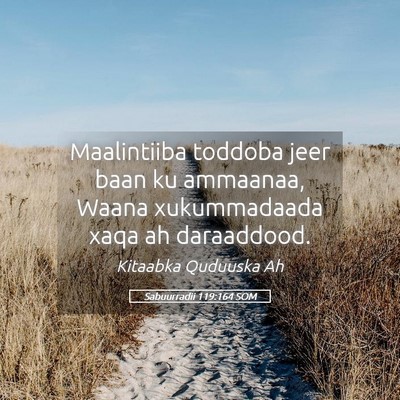 Picture 05 - Sabuurradii 119:164 SOM - Maalintiiba toddoba jeer baan ku ammaanaa, Waana - Bible Verse Picture