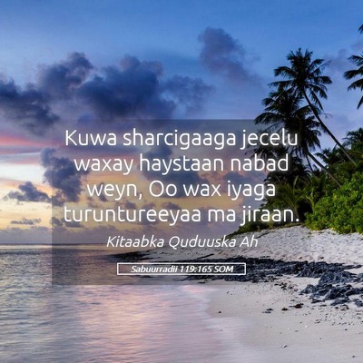 Picture 05 - Sabuurradii 119:165 SOM - Kuwa sharcigaaga jecelu waxay haystaan nabad - Bible Verse Picture
