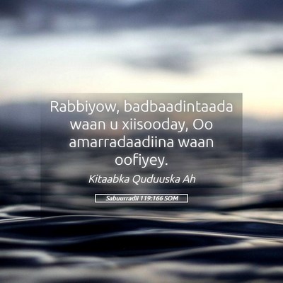 Picture 05 - Sabuurradii 119:166 SOM - Rabbiyow, badbaadintaada waan u xiisooday, Oo - Bible Verse Picture