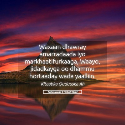 Picture 05 - Sabuurradii 119:168 SOM - Waxaan dhawray amarradaada iyo markhaatifurkaaga, - Bible Verse Picture