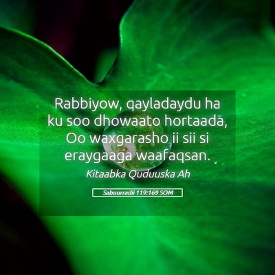 Picture 05 - Sabuurradii 119:169 SOM - Rabbiyow, qayladaydu ha ku soo dhowaato hortaada, - Bible Verse Picture