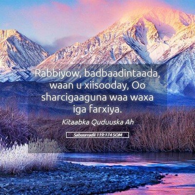 Picture 05 - Sabuurradii 119:174 SOM - Rabbiyow, badbaadintaada, waan u xiisooday, Oo - Bible Verse Picture