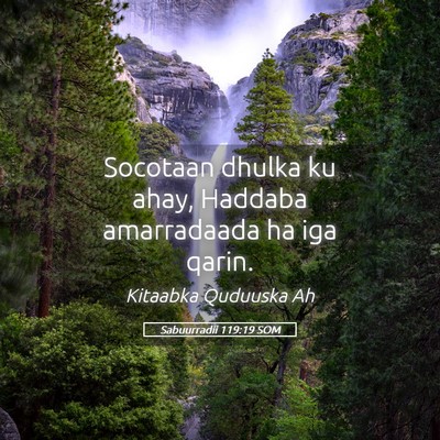 Picture 05 - Sabuurradii 119:19 SOM - Socotaan dhulka ku ahay, Haddaba amarradaada ha - Bible Verse Picture