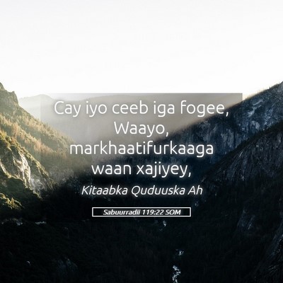 Picture 05 - Sabuurradii 119:22 SOM - Cay iyo ceeb iga fogee, Waayo, markhaatifurkaaga - Bible Verse Picture