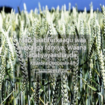 Picture 05 - Sabuurradii 119:24 SOM - Markhaatifurkaagu waa waxa iga farxiya, Waana - Bible Verse Picture