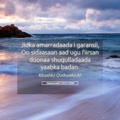 Picture 05 - Sabuurradii 119:27 SOM - Jidka amarradaada i garansii, Oo sidaasaan aad - Bible Verse Picture
